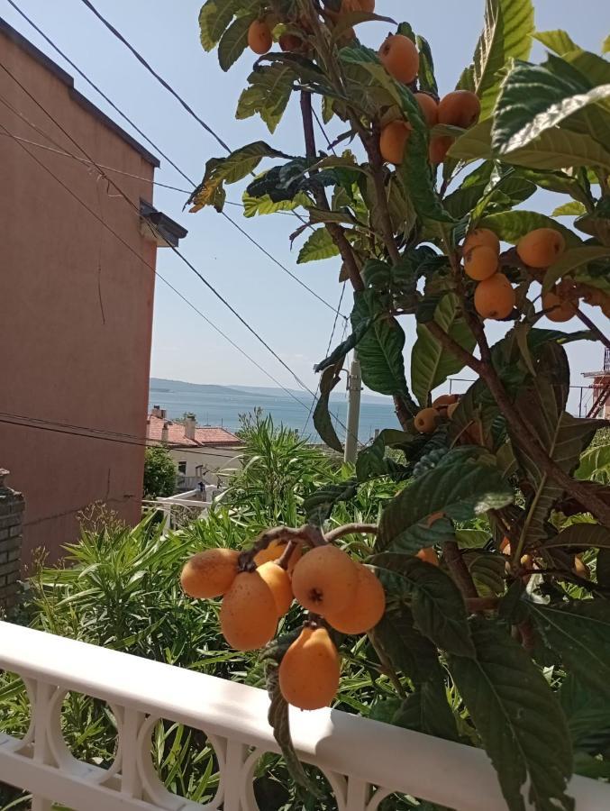 Al Porticciolo * Triest