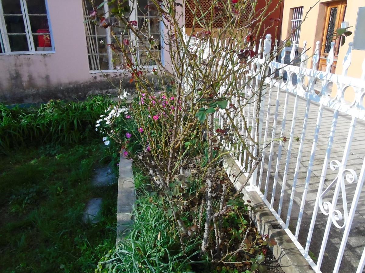 Al Porticciolo Casa vacanze Trieste