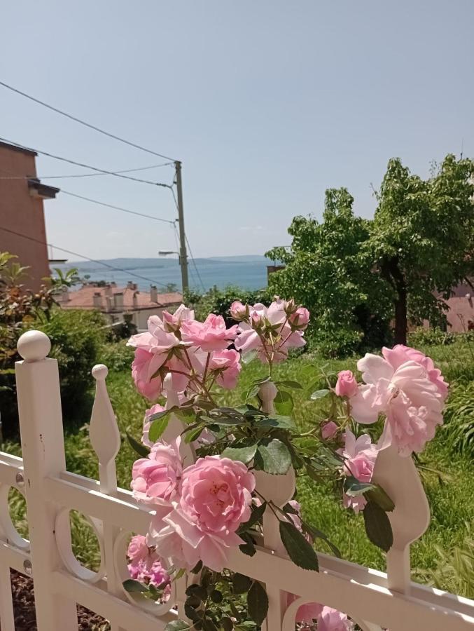 Al Porticciolo Trieste