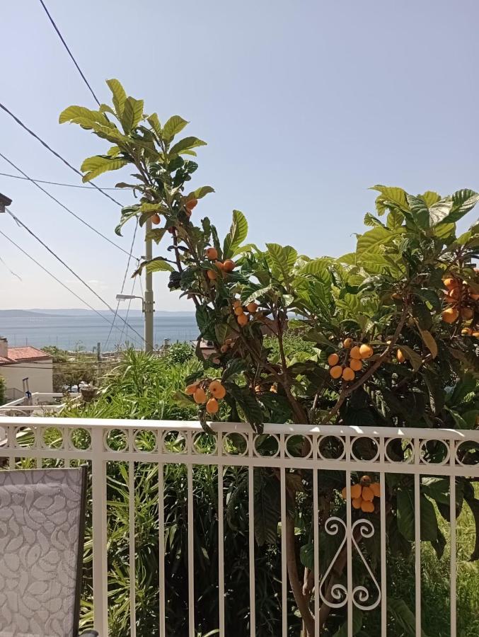 Al Porticciolo Trieste